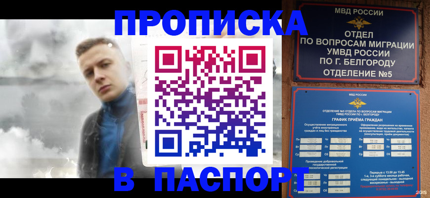 временная регистрация в Невеле